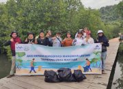 Hari Mangrove, Mengintip Clean Up Para Pegiat di Konservasi Mangrove Binaan PTAR