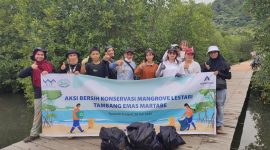 Bank Sampah Yamantab (BSY) bersama puluhan pelajar, pegiat lingkungan, personel TNI AL, karyawan PLN NP UP Pandan, dan tim PT Agincourt Resources, bahu-membahu membersihkan kawasan Konservasi Mangrove Binaan PTAR