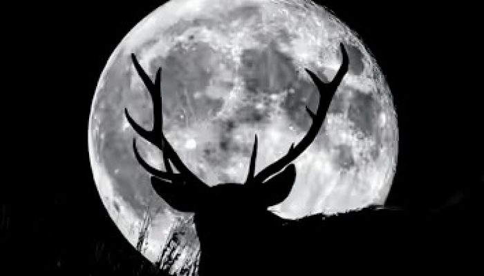 Apa Itu Buck Moon? Fenomena Langit 10 Juli 2025 yang Sarat Makna dan Mitos