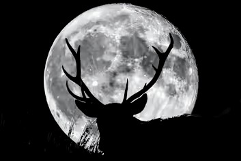 Fenomena langit purnama di bulan Juli atau Buck Moon. Foto: Getty images 