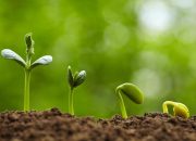 Khutbah Jumat 25 Juli 2025: Jangan Rusak Alam, Ingat Pertanggungjawaban di Akhirat