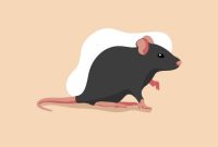 Leptospirosis adalah penyakit infeksi yang disebabkan bakteri Leptospira interrogans. Bakteri ini banyak ditemukan di air atau tanah yang tercemar urine hewan, terutama tikus. 