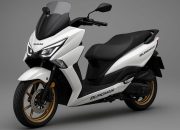 Suzuki Burgman 150 Siap Tantang PCX 160 dan NMAX 155, Pasar Skutik 150 cc Makin Panas