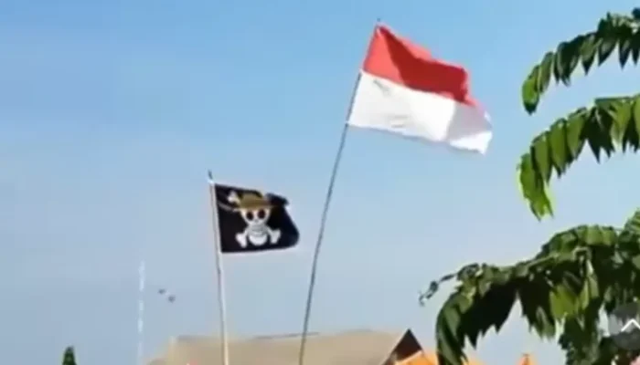 Apakah Bendera One Piece Dilarang? Pemerintah Tegaskan Satu Hal Ini