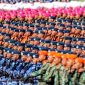 Pasukan elit TNI tiga matra