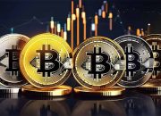Harga Bitcoin Naik Tipis 0,1% Berada di Posisi U$D116.675,12 atau Rp1,89 Miliar Per Koin