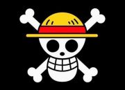 Pengibaran Bendera One Piece Dianggap Makar, LBH Medan: Pemerintah dan DPR Jangan Lebay