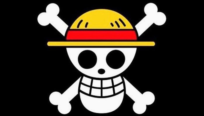 Pengibaran Bendera One Piece Dianggap Makar, LBH Medan: Pemerintah dan DPR Jangan Lebay