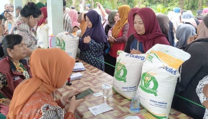Bulog Sumut Klaim 92 Persen Beras Bantuan Pangan Telah Disalurkan