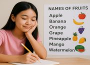 300 Nama Buah dalam Bahasa Inggris dan Artinya dalam Bahasa Indonesia