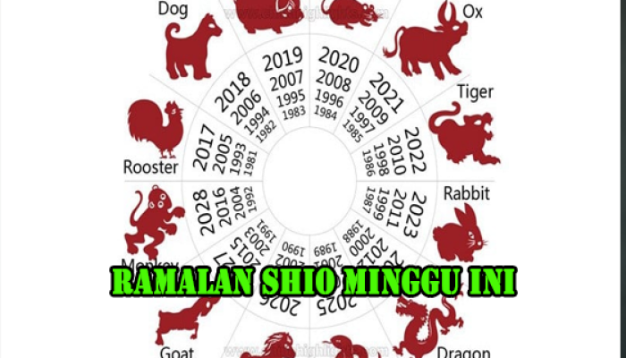 Ramalan Shio Minggu Ini 5–10 Agustus 2025: Saatnya Menata Prioritas Hidup dan Keuangan