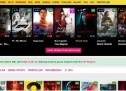 Daftar Situs Nonton Film Gratis Populer dan Risikonya untuk Pengguna