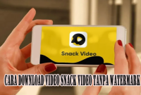Snack Video Downloader