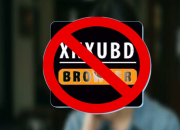 Xnxubd VPN Browser APK 2025 masih aman digunakan?: Fitur Menarik vs Bahaya yang Mengintai