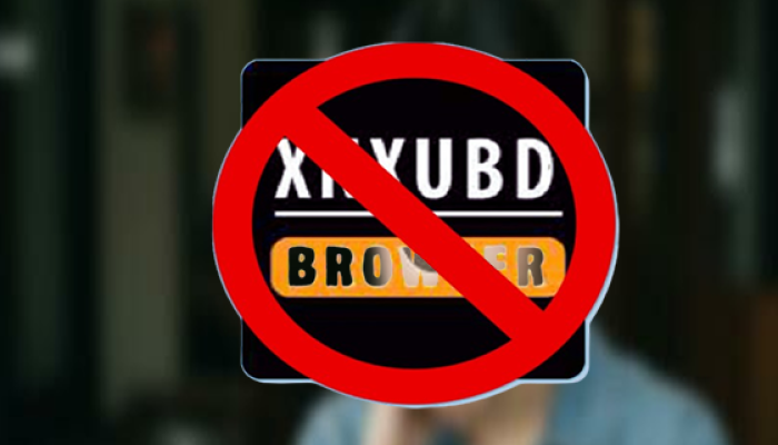 Xnxubd VPN Browser APK 2025 masih aman digunakan?: Fitur Menarik vs Bahaya yang Mengintai