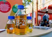 BOBIBOS Bahan Bakar Ramah Lingkungan Terobosan Anak Bangsa: Ini 5 Jenis Tumbuhan di Indonesia yang Bisa Hasilkan BBM