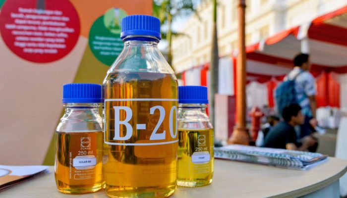 BOBIBOS Bahan Bakar Ramah Lingkungan Terobosan Anak Bangsa: Ini 5 Jenis Tumbuhan di Indonesia yang Bisa Hasilkan BBM