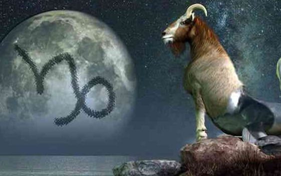 capricorn