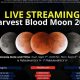 Harvest Blood Moon