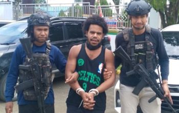 Satgas Damai Cartenz