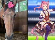 Sejarah dan Kisah Kuda Legendaris Haru Urara: Menjadi Simbol Harapan dan Perjuangan