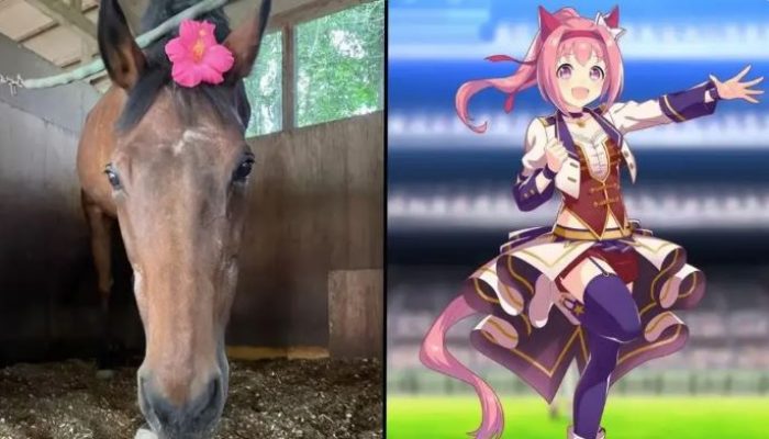 Sejarah dan Kisah Kuda Legendaris Haru Urara: Menjadi Simbol Harapan dan Perjuangan