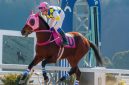 Kuda legendaris Haru Urara meninggal dunia di Jepang