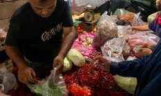 berita-pilihan-foto