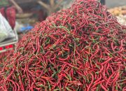 Harga Sembako di Medan dan Sekitarnya Hari Ini: Cabai Merah Masih Tinggi di Pasar MMTC, Tembus Rp 75 Ribu per Kilogram