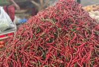 Pasokan cabai merah melimpah di pasar MMTC, Kelurahan Medan Estate, Kecamatan Percut Sei Tuan, Kabupaten Deli Serdang, Sumatera Utara. Selasa (9/9/2025). Foto: Topikseru.com/Agus Sinaga
