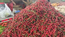 Pasokan cabai merah melimpah di pasar MMTC, Kelurahan Medan Estate, Kecamatan Percut Sei Tuan, Kabupaten Deli Serdang, Sumatera Utara. Selasa (9/9/2025). Foto: Topikseru.com/Agus Sinaga