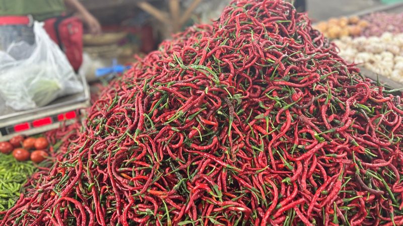 Pasokan cabai merah melimpah di pasar MMTC, Kelurahan Medan Estate, Kecamatan Percut Sei Tuan, Kabupaten Deli Serdang, Sumatera Utara. Selasa (9/9/2025). Foto: Topikseru.com/Agus Sinaga