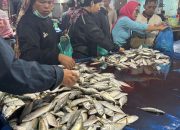 KKP Siapkan Regulasi Baru Permudah Perizinan Usaha Perikanan: Fokus pada Pengolahan dan Pemasaran