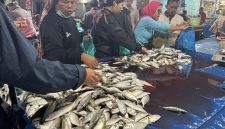 Pembeli sedang memilih ikan di pasar Simpang Limun, Kota Medan, Sumatera Utara. Selasa (9/9/2025). Foto: Topikseru.com/Agus Sinaga