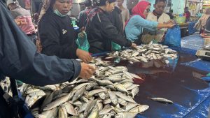 Daftar Harga Sembako di Pasar Simpang Limun: Ikan Laut Masih Tinggi, Cabai Merah Turun