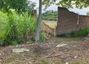 Pria di Deli Serdang Tewas Diduga Diamuk Massa, Warga Sebut Korban Sering Mencuri