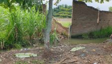 Tempat kejadian perkara di dusun 6, Desa Bandar Setia, Kecamatan Percut Sei Tuan, Kabupaten Deliserdang,Sumatera Utara. Jumat(12/9/2025), Topikseru.com/Agus Sinaga