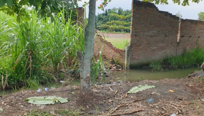 Pria di Deli Serdang Tewas Diduga Diamuk Massa, Warga Sebut Korban Sering Mencuri