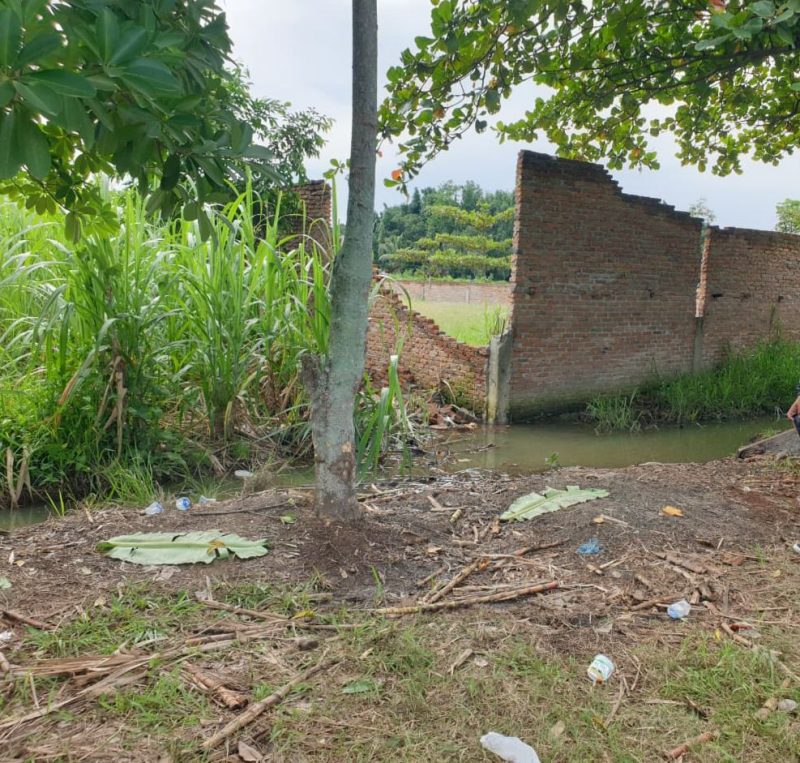 Tempat kejadian perkara di dusun 6, Desa Bandar Setia, Kecamatan Percut Sei Tuan, Kabupaten Deliserdang,Sumatera Utara. Jumat(12/9/2025), Topikseru.com/Agus Sinaga