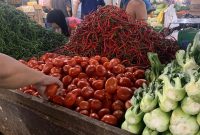 Aktivitas masyarakat di Pasar Simpang Limun, Kota Medan, Sumatera Utara, pada Sabtu pagi (13/9/2025) Topikseru.com/Agus Sinaga