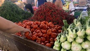Harga Sembako di Medan Hari Ini: Cabai Merah Tembus Rp 74 Ribu, Ikan Laut Ikut Naik