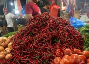 Harga Cabai Merah Naik Jadi Rp 90 Ribu per Kg, Ikan Laut di Medan Ikut Melonjak