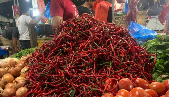 Harga Cabai Merah Naik Jadi Rp 90 Ribu per Kg, Ikan Laut di Medan Ikut Melonjak
