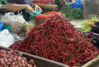 Tumpukan cabai merah di Pasar Simpang Limun, Kota Medan, Sumatera Utara, Senin (22/9/2025), Foto: Topikseru.com/Agus Sinaga