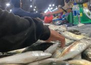 Daftar Harga Sembako di Medan Hari Ini: Harga Ikan Laut Turun, Cabai Merah Bertahan Rp 85 Ribu Per Kg
