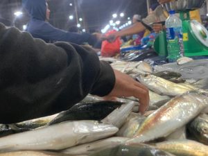 Daftar Harga Sembako di Medan Hari Ini: Harga Ikan Laut Turun, Cabai Merah Bertahan Rp 85 Ribu Per Kg