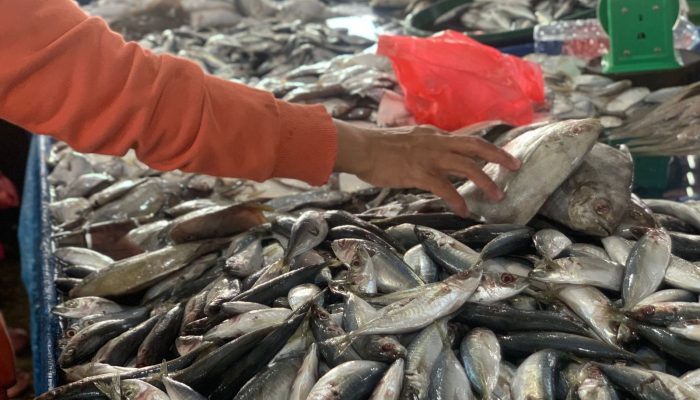 Harga Sembako di Medan Hari Ini: Ikan Laut Kembali Naik, Cabai Merah Justru Turun Rp 5.000, Cek Daftar Lengkapnya