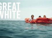 Sinopsis Film Great White: Kisah Katrina Bowden Bertahan Hidup dari Serangan Hiu Putih Tayang di Bioskop Trans TV Malam Ini