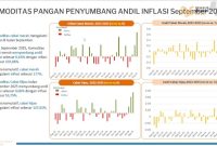 Data inflasi Medan bulan September 2025. Foto: Dok.BPS Kota Medan