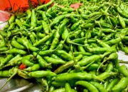 Petani adat Pandumaan-Sipituhuta